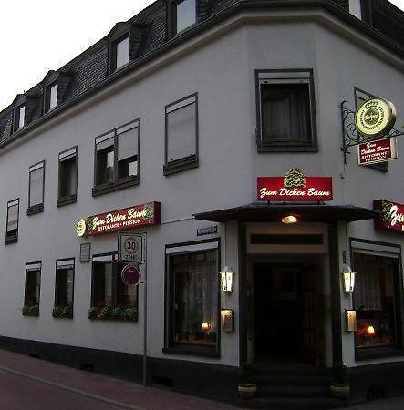 Hotel Zum Dicken Baum Mayen Exterior foto